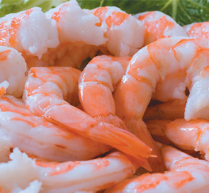 140227 Marubeni EasternFish-shrimp