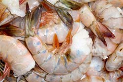 Alfa Gamma Seafood shrimp