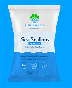 Blue Harvest Scallops