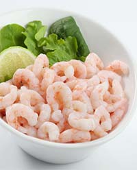 Clearwater coldwater shrimp