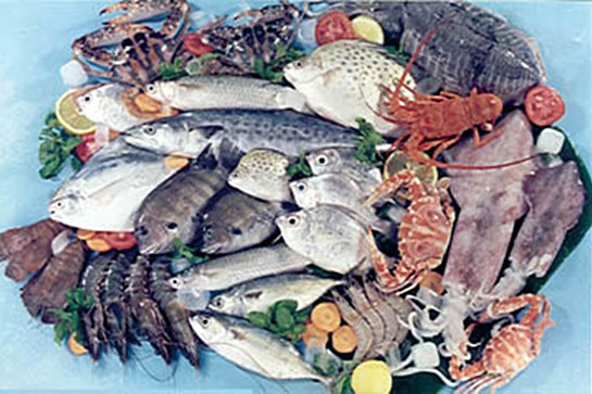 IndianSeafoodProducts