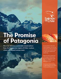 Promise of Patagonia
