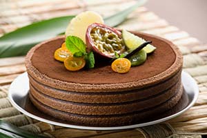 Technipat Cocoa Nuts Jaconde Cake