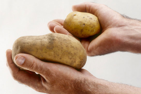 aardappelboer-handen-groot