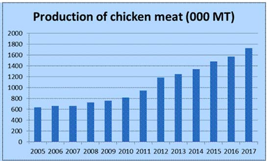 chicken meat production in Poland