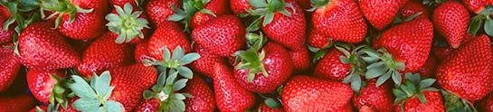moroccan strawberries 2017