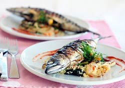 norwegian-mackerel