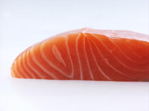 salmon 02