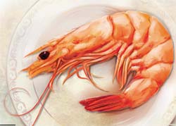shrimp aspa