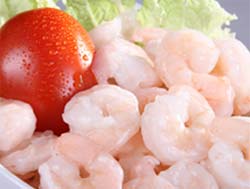 shrimp exports india