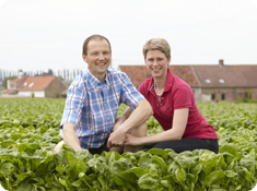 the-story-of-koen-and-mieke-let-the-spinach-season-begin