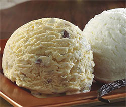vadilal-ice-cream